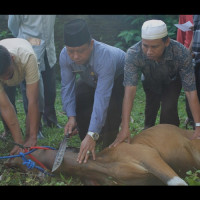 Kemenag Bengkulu Selatan Salurkan Daging Kurban