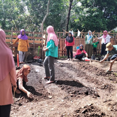 Lakukan Gotong Royong MIN 01 Benteng Sulap Lahan Kosong Jadi Kebun Sayuran