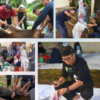 Kemenag Kota Bengkulu Laksanakan Pemotongan Hewan Kurban