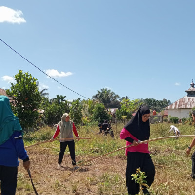 Pegawai KUA Kecamatan Ulu Talo Gotong Royong Manfaatkan Lahan Kosong Lingkungan KUA Untuk Penghijauan
