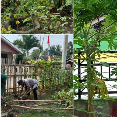 Manfaatkan Lahan Kosong, Pegawai KUA Kecamatan Air Periukan  Tanami Sayur Di Seputaran Kantor