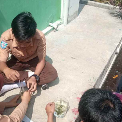 Pacu Rasa Keingintahuan , Siswa MAN Rejang Lebong Lakukan Penelitian Ingenhousz