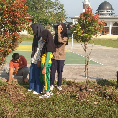 Implementasi Program Penghijauan di MTs Muhammadiyah Curup : Tingkatkan Kesehatan Lingkungan dan Kualitas Pendidikan