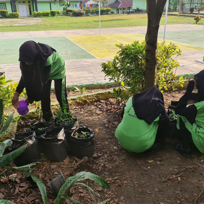 Penghijauan Berkelanjutan di MTs Muhammadiyah Curup: Inovasi Bercocok Tanam sebagai Model Edukasi dan Konservasi Lingkungan