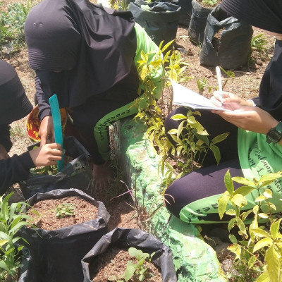 Kegiatan P5 Kelas VIII Al-Qodir : Tingkatkan Kreativitas dan Penghijauan di MTs Muhammadiyah Curup