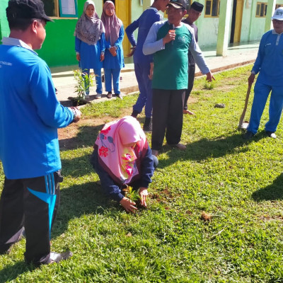 Meriahkan HSN, Kemenag Kepahiang Ikuti Penanaman Pohon Serentak Se-Indonesia