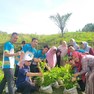 Panen Raya Di Kebun MAN Seluma Dalam Rangka Kegiatan P5 Dan PPRA