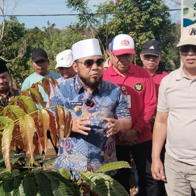 Gubernur Bengkulu Puji Terobosan Kemenag, Tanam Satu Juta Pohon Matoa