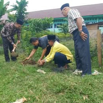 Jalankan Amanah Meteri Agama,MTsN 5 Mukomuko Tanam Pohon Matoa di Lingkungan Madrasah