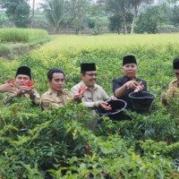 Ka. Kanwil Kemenag Provinsi Bengkulu Mengahadiri Panen Perdana Perkebunan Keluarga Pra Sakinah