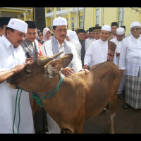 Sambut Hari Raya Idul Adha, Kemenag Benteng Siapkan Empat Ekor Sapi