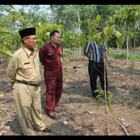 Kepala kemenag RL Cek Lokasi Untuk Pembangunan Sekolah Madrasah