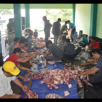 Kanwil Kemenag Bengkulu Sembelih 7 Ekor Sapi Qurban