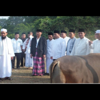 Penjabat Bupati Seluma Qurban 4 Ekor Sapi