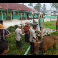 MIM Lubuk Kembang RL Laksanakan Qurban di Sekolah