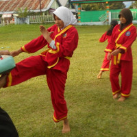 Santri Pondok Pesantren AL-Quraniyah Manna Latihan Silat