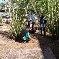 KUA Ratu Samban Kota Bengkulu Adakan Jumat Bersih