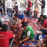 MTs dan MA Mambaul Ulum Harapan Makmur Benteng Potong 6 Ekor Hewan Qurban