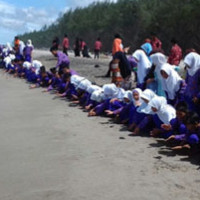 MTsN 03 Kaur Lepas Anak Penyu ke Pantai Sekube