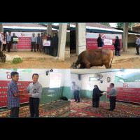 Madrasah Mambaul Ulum Benteng Terima Bantuan Hewan Qurban