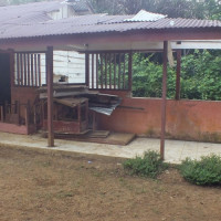 MI Talang Kebun Seluma Minta Gedung RKB Baru