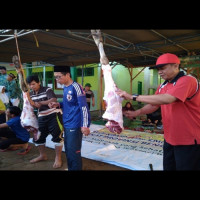 MTsN 2 Kota Bengkulu Laksanakan Pemotongan Hewan Qurban