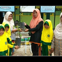 MIN 5 Bengkulu Tengah Terima Bantuan Bibit Jeruk Kalamansi