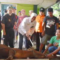 Kanwil Kemenag Bengkulu Sembelih 19 Ekor Hewan Qurban