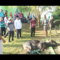 Zainal Abidin “Maknai Kurban dengan semangat kebersamaan”