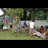 KUA Ipuh : Faktor ekonomi pengaruhi masyarakat berqurban