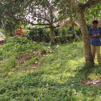 Ka. Kemenag BU Tinjau Lokasi Calon Hibah Tanah KUA