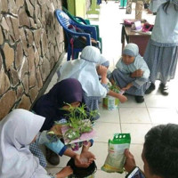 Kenali Teknologi Sederhana Tepat Guna, Siswa MIN 5 Belajar Tanam Sistem Hidroponik