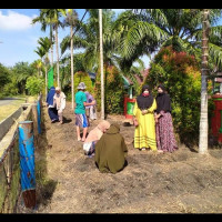 PSBB Dilonggarkan, OSIM MAN 1 Mukomuko Berkebun Di Madrasah