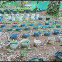 MIN7 Mukomuko Manfaatkan Lahan Untuk Buat Kebun Organik