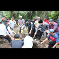 Total 19 Ekor Kurban, Kakan Kemenag BS: Semoga Bermanfaat