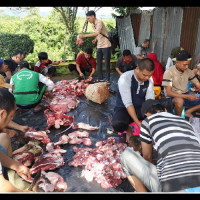 Kemenag Lebong, Qurban 4 Ekor Sapi