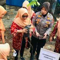 Berkolaborasi Dengan IGRA,  DWP Kanwil Gelar Aksi Tanam Pohon